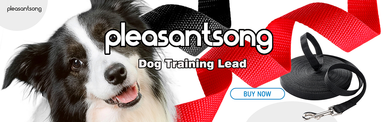 亚马逊跨境电商产品摄影视觉设计 平面设计主图详情页