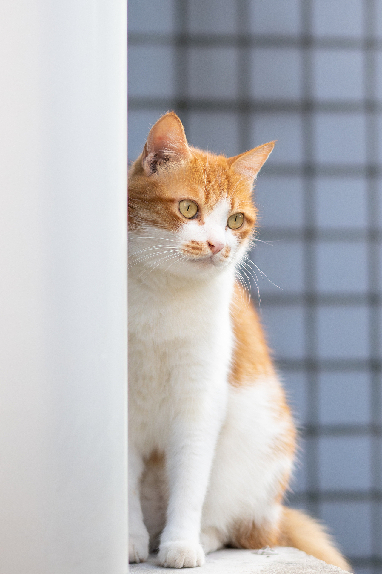 2021-2023丨年度摄影总结（图ZMzU4ODkyMDI0） - 其他摄影 - 站酷设计师陈子奕原创素材 - 站酷ZCOOL