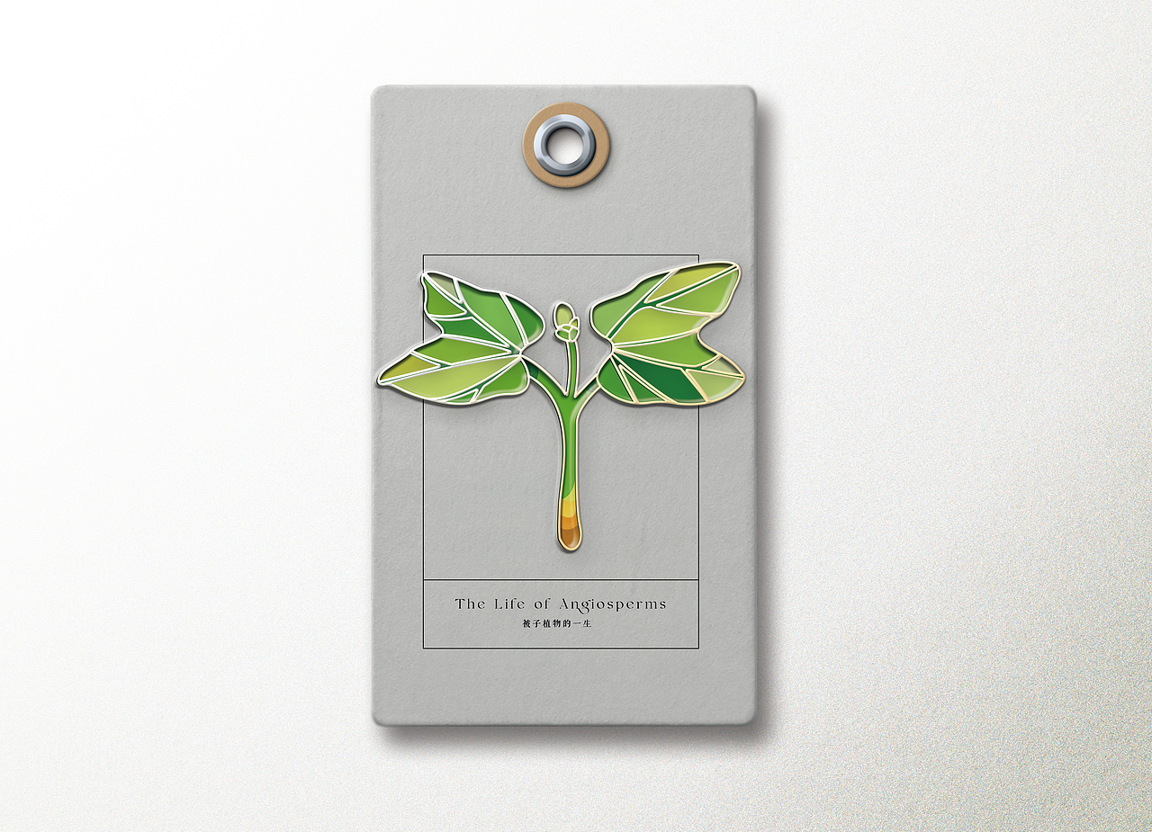 Redesign of the Biology Book 生物书再设计