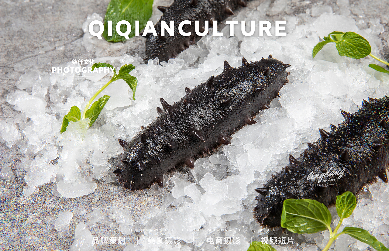 济南美食摄影——辉哥出海-海参 海鲜摄影×柒仟