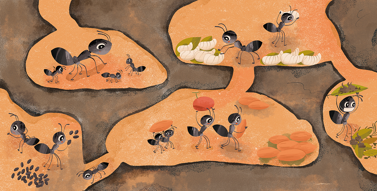 绘本《蚂蚁家族》