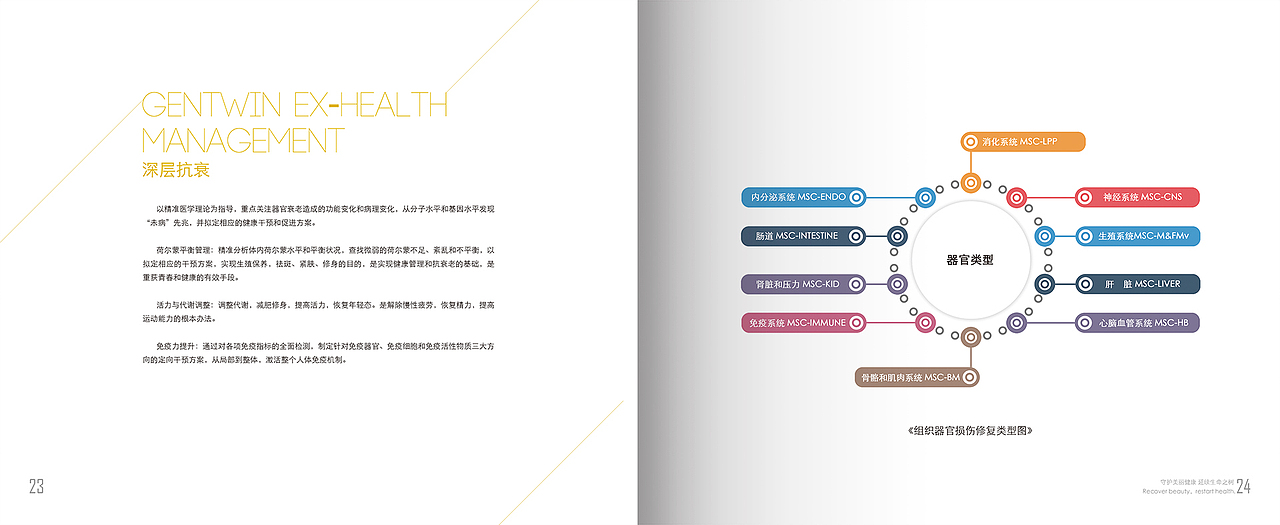 企业画册（图ZMjk2NTQ5MTAw） - 书籍/画册 - 站酷设计师www10905677原创素材 - 站酷ZCOOL