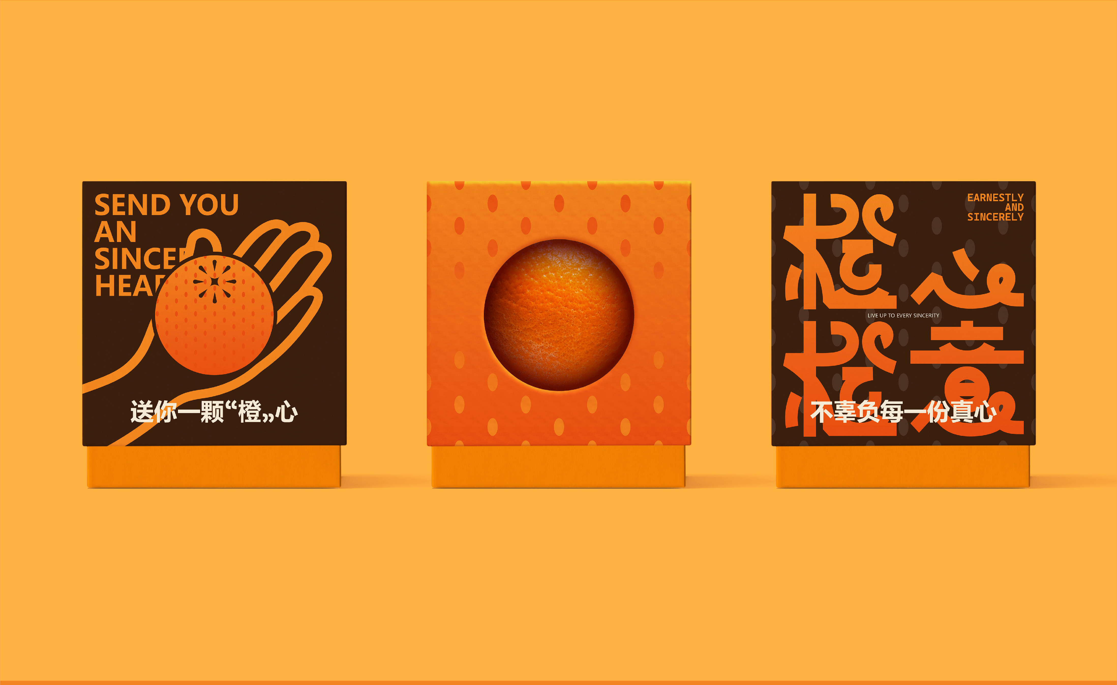 橙心橙意丨橙子包装设计