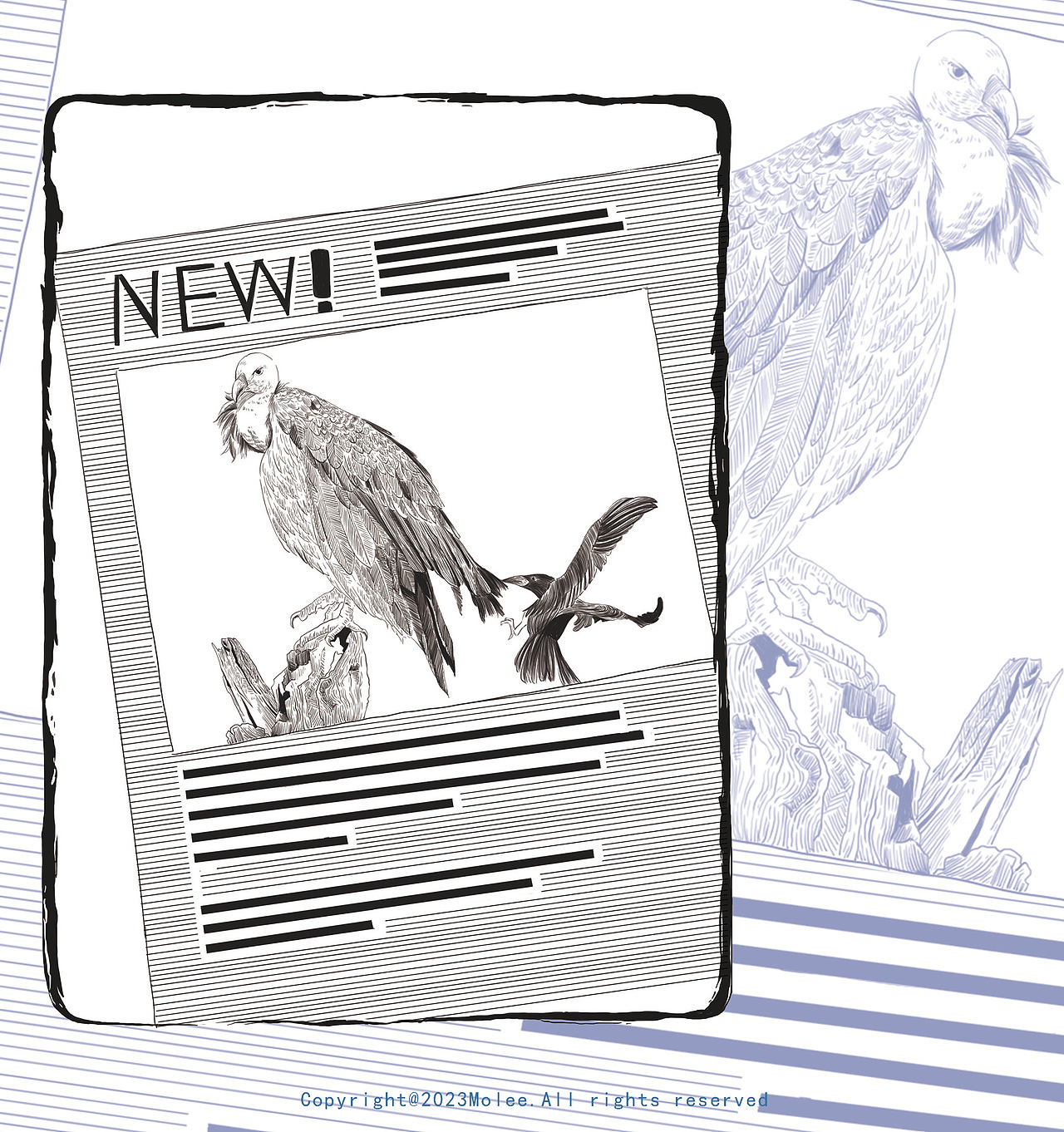 出版物《奇特物种》封面及内文插图