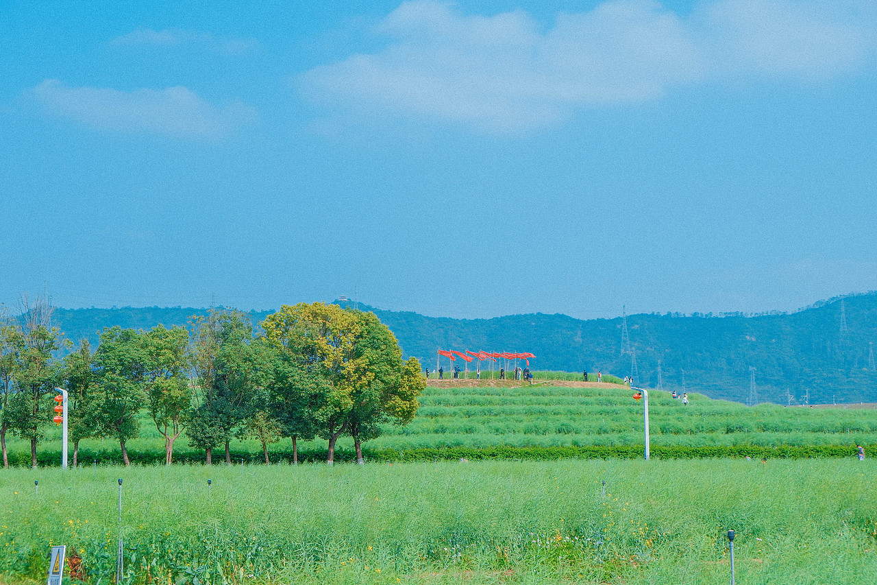 2月光明小镇欢乐田园半日游及外食(白玉串城)