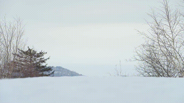 《运动者联盟》节目包装（图ZMzM5OTUzOTEy） - 影视后期 - 站酷设计师小飞侠文化原创素材 - 站酷ZCOOL