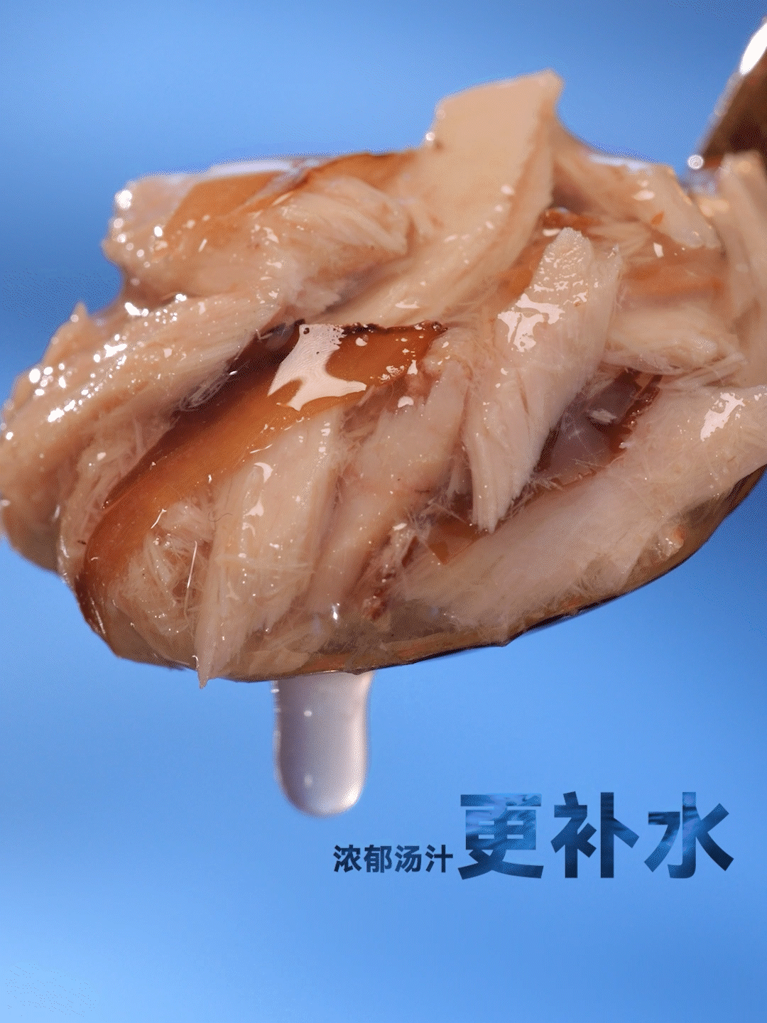 中宠顽皮多肉猫罐宠物零食竖版短视频