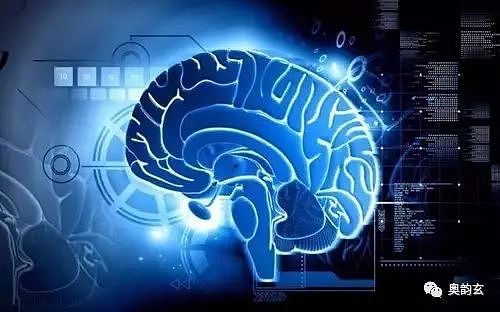 全脑潜能开发教育是未来教育的大趋势