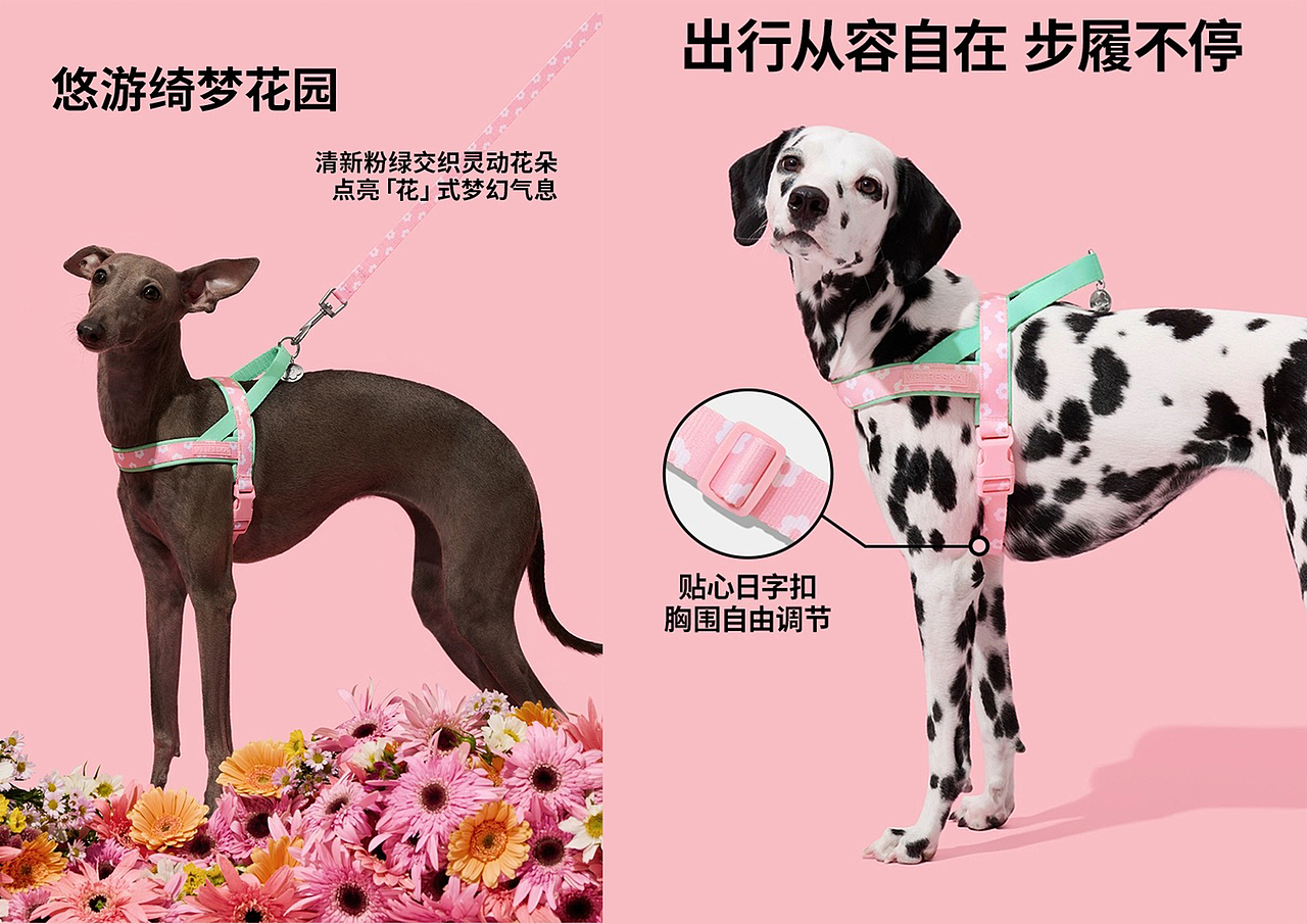 未卡产品拍摄（图ZMzYxMTY5MTQ4） - 宠物摄影 - 站酷设计师DPISSTUDIO原创素材 - 站酷ZCOOL