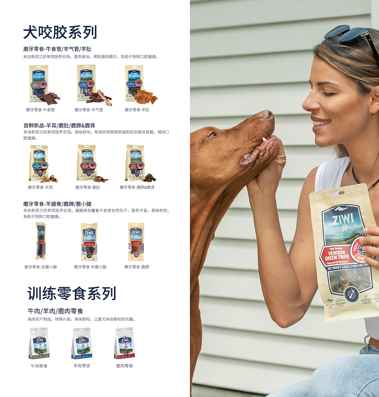 ziwi深宠展DM单设计（图ZMzI0NTI2MjQw） - 宣传物料 - 站酷设计师时如逝水原创素材 - 站酷ZCOOL