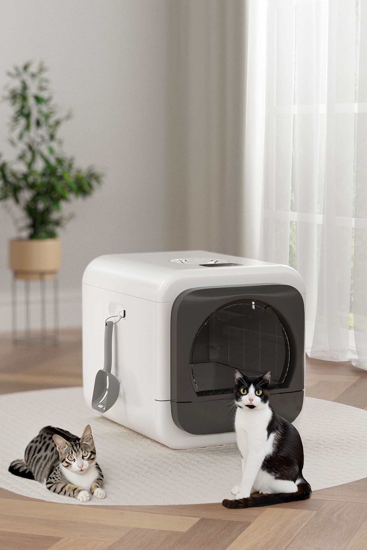 宠物用品 C4D oc渲染 智能除臭猫砂盆（图ZMzU2MTQxMzky） - 产品 - 站酷设计师小顾不想起名原创素材 - 站酷ZCOOL