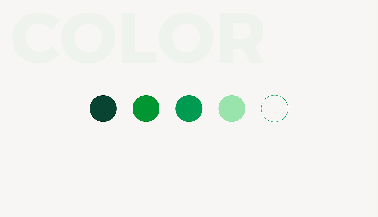 尼云飘彩|品牌升级