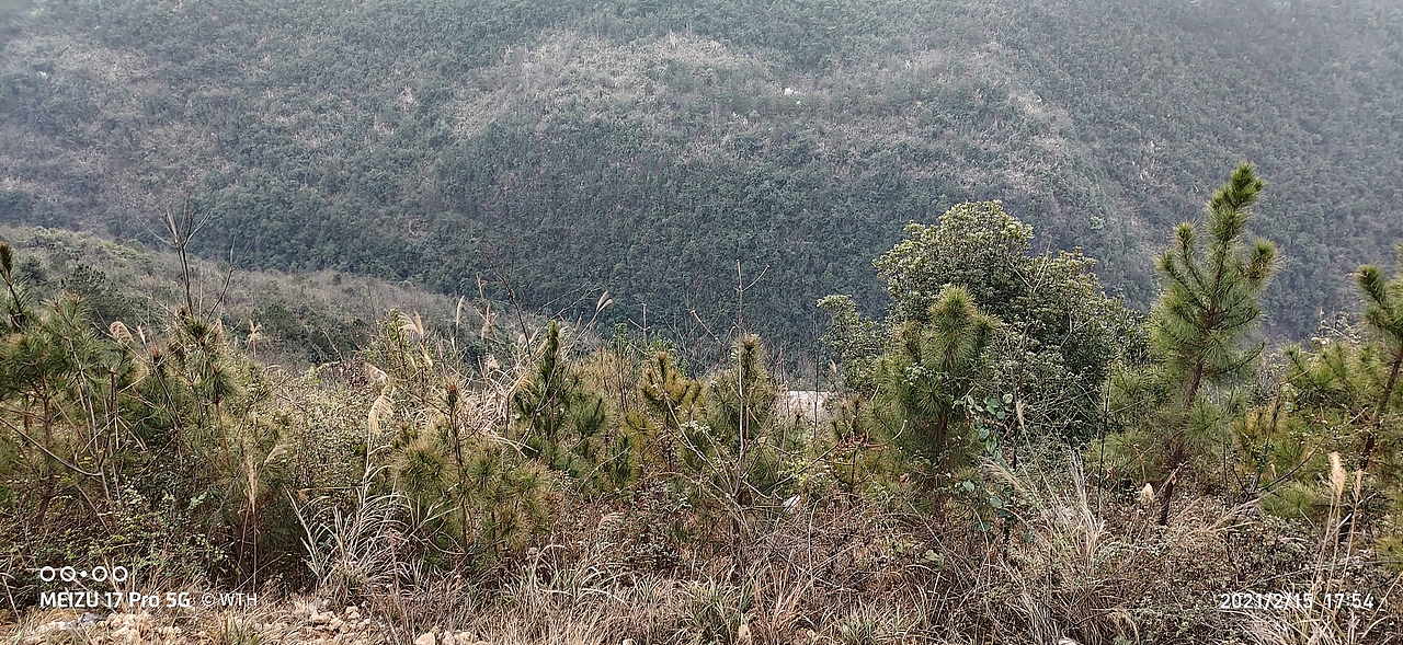 村庄 农村（图ZMzAyNjgzNDIw） - 风光摄影 - 站酷设计师天隼WtH原创素材 - 站酷ZCOOL