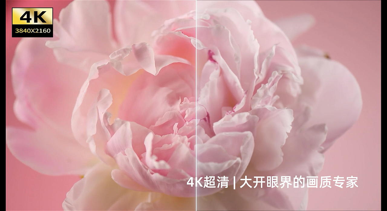 某品牌98吋会议大屏动画