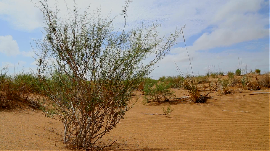 宣传片作品春播行动（图ZMzEyMDg5MDQw） - 其他影视 - 站酷设计师Z35045455原创素材 - 站酷ZCOOL