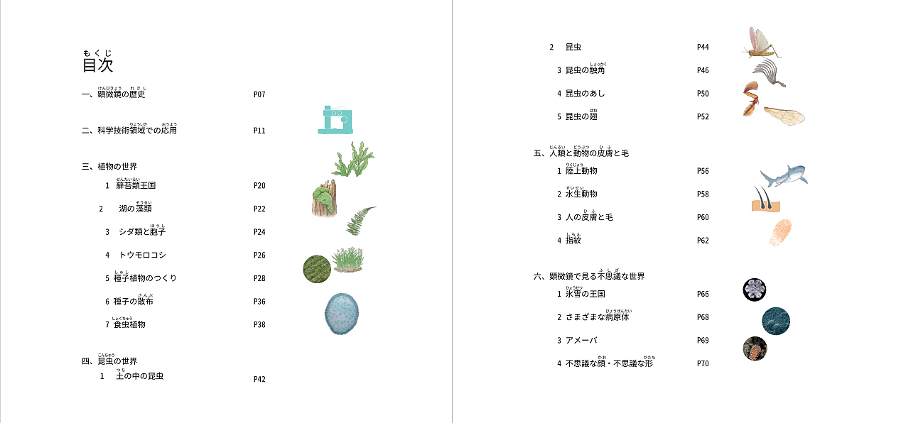 《小世界，大发现》节选（图ZMzE3NjIzMTMy） - 书籍/画册 - 站酷设计师Freesia77原创素材 - 站酷ZCOOL