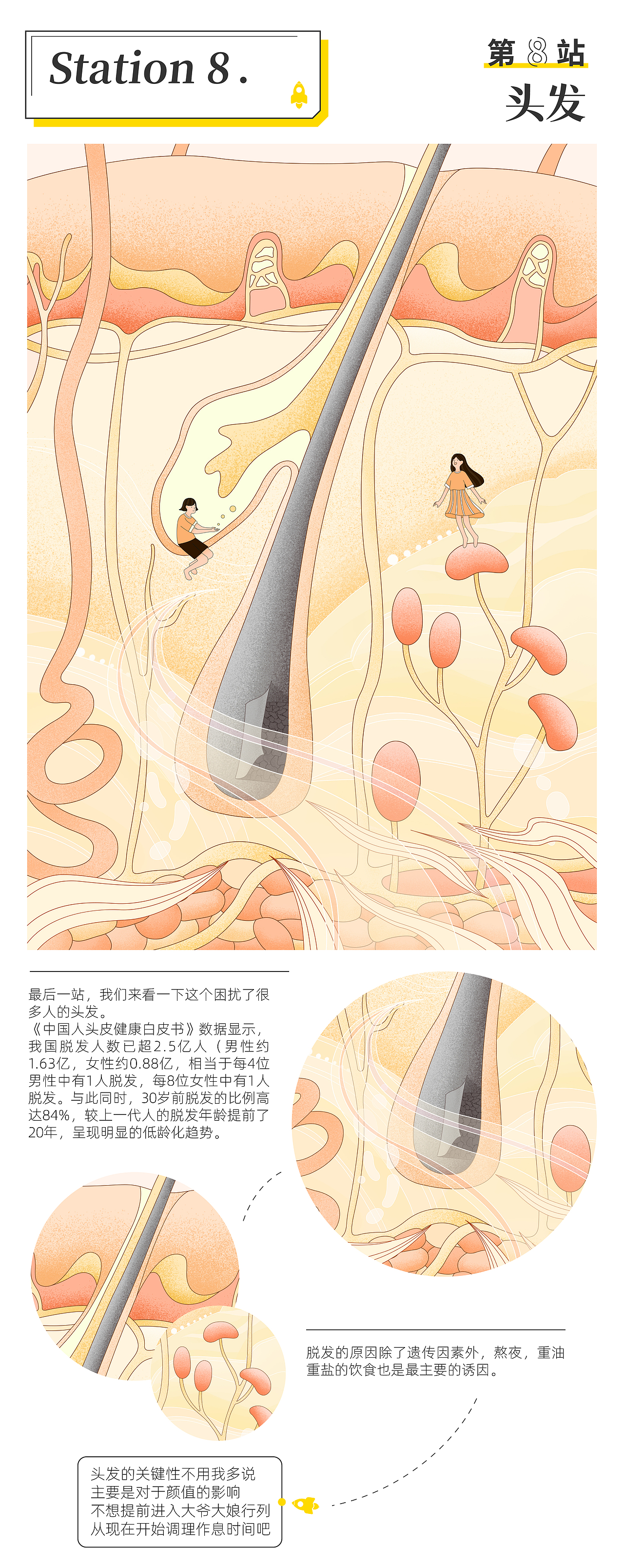 【创意插图设计实验】发现医学之美 - 观察你自己(图ZMzEwNzYxMTEy) - 艺术插画 - 站酷设计师驰业品牌设计原创素材 - 站酷ZCOOL