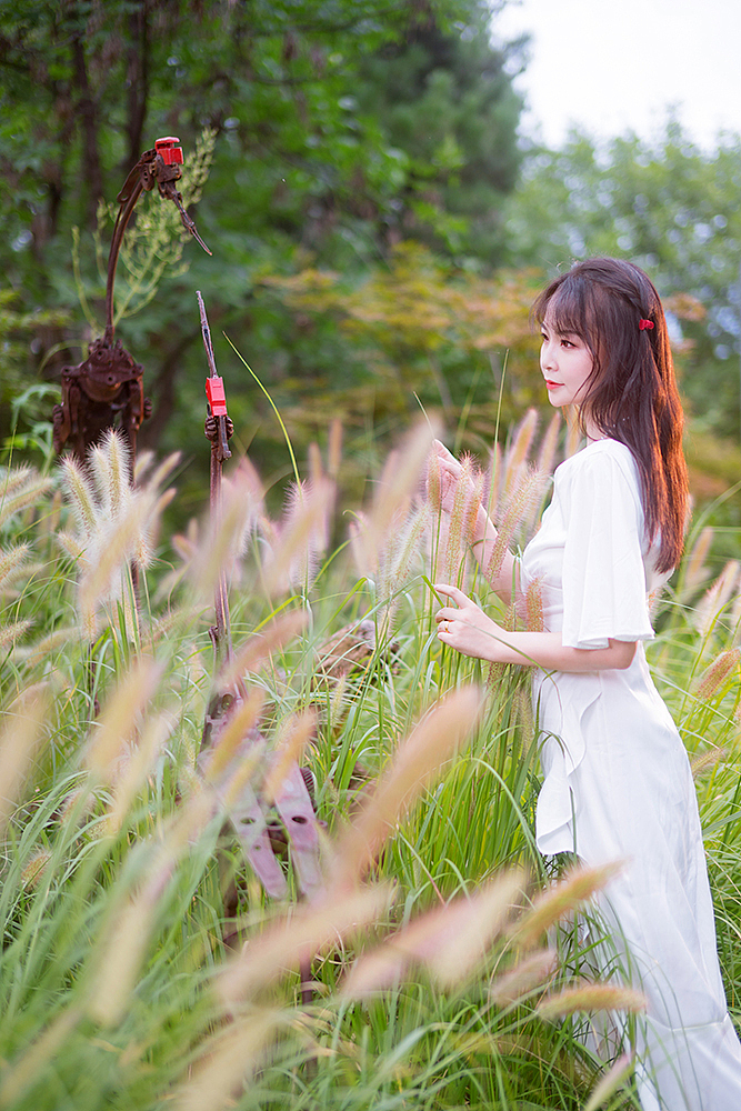 爱丽丝梦游仙境