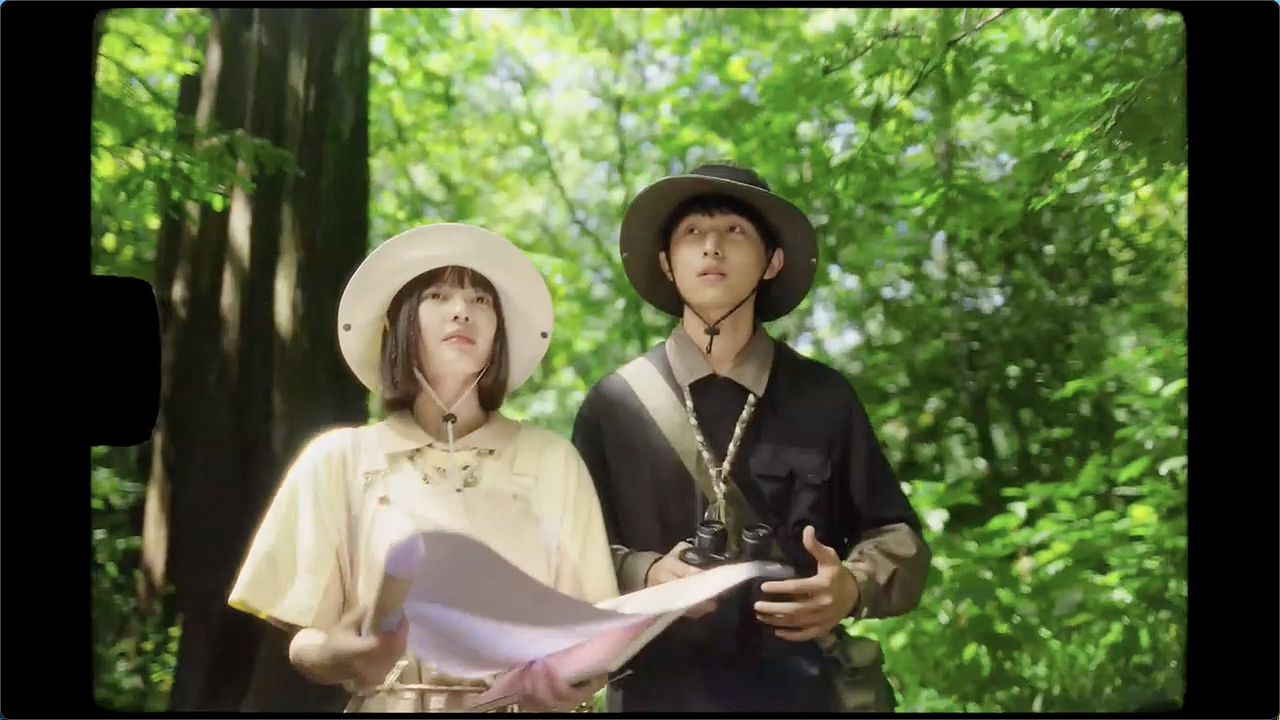 Adidas NEO 观鸟主题作品