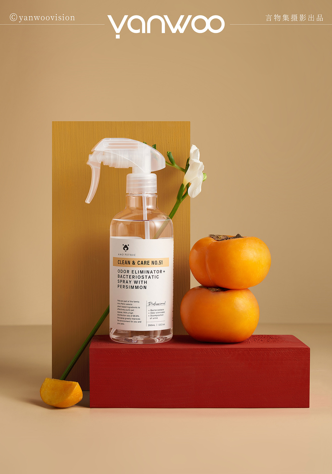 言物集 X 阿默 | 宠物猫狗洗护毛发护理创意场景图拍摄