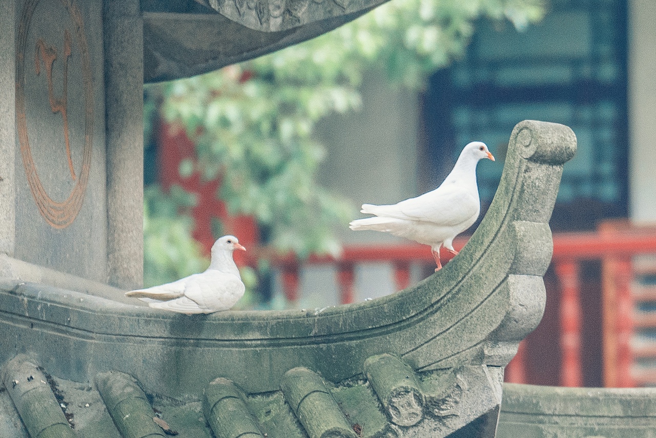 径山寺（图ZMzQxMzE1NjA4） - 人文/纪实摄影 - 站酷设计师Breathes原创素材 - 站酷ZCOOL