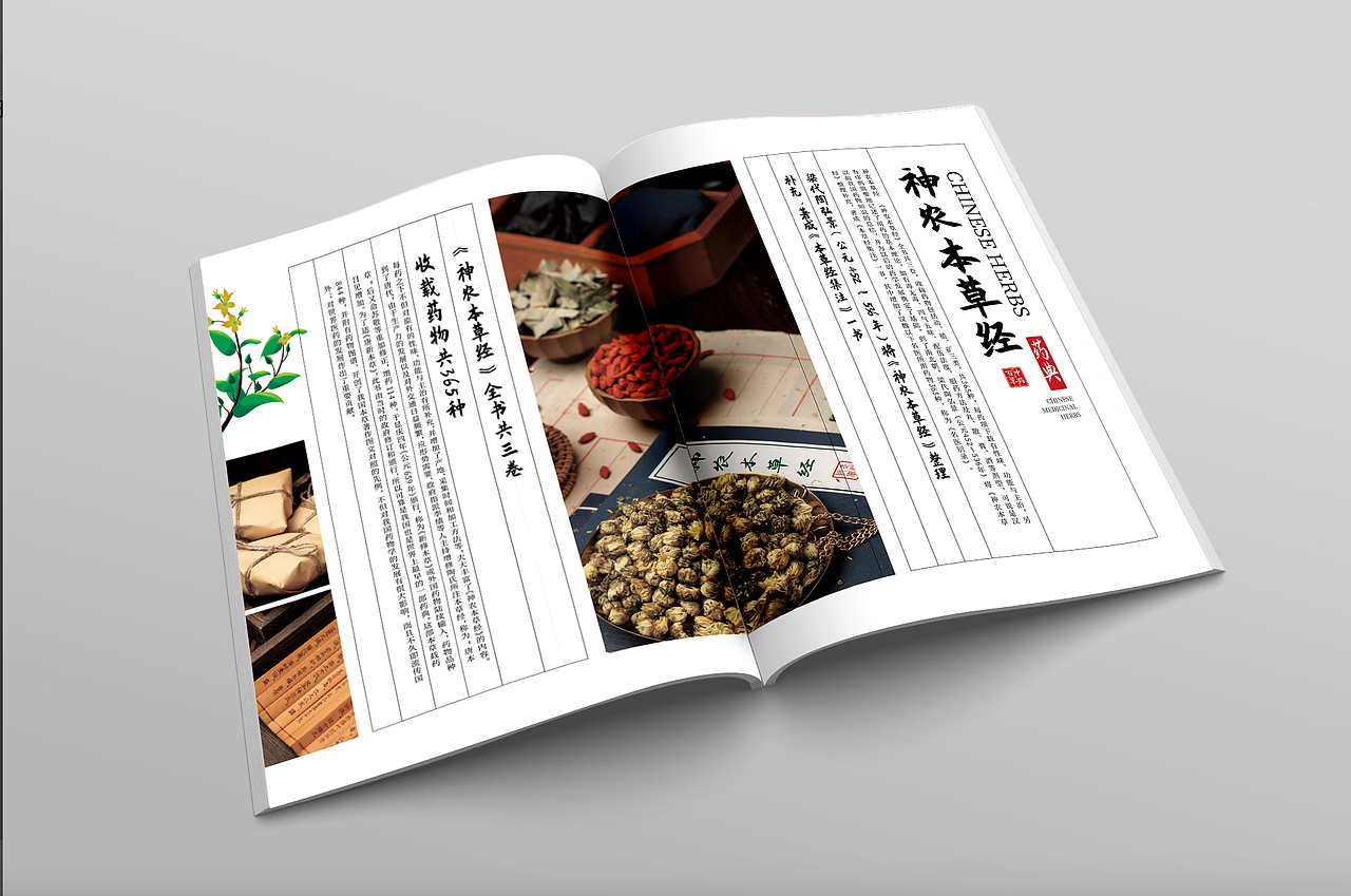 中药画册（图ZMzQ3MDMwMjQ4） - 书籍/画册 - 站酷设计师686868王小真原创素材 - 站酷ZCOOL