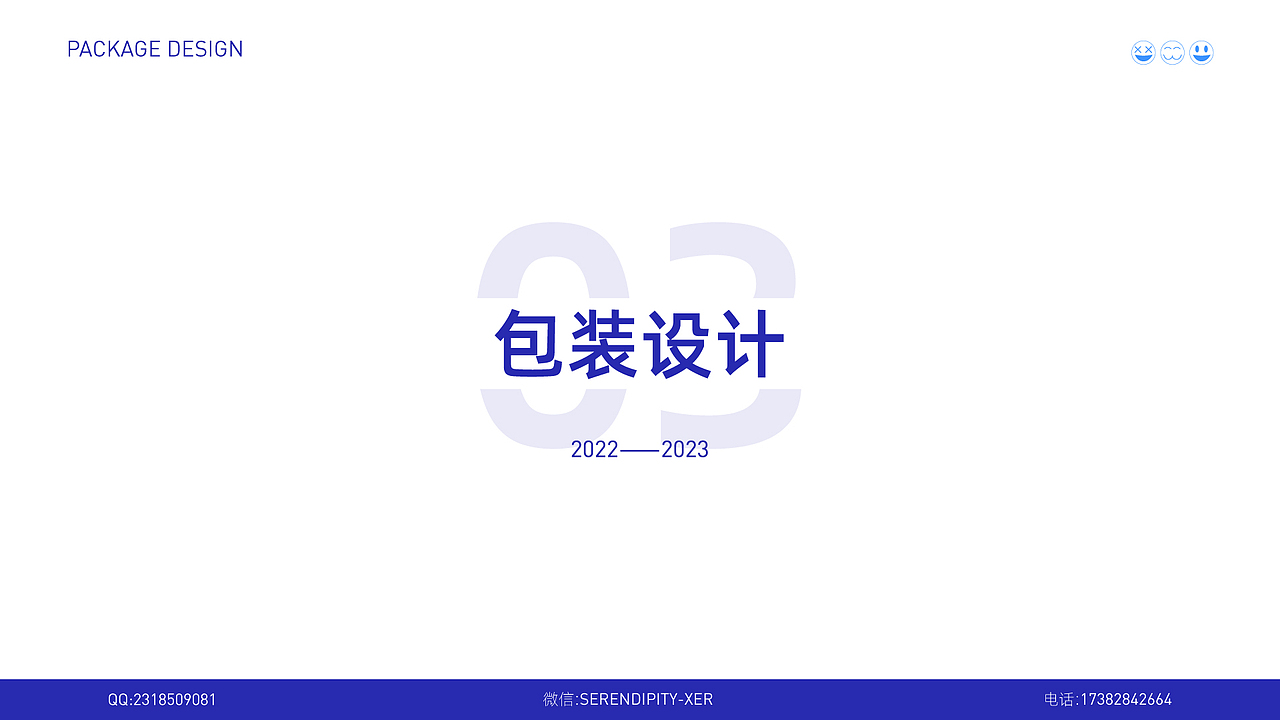 2023年平面设计作品集——Graphic portfolio display