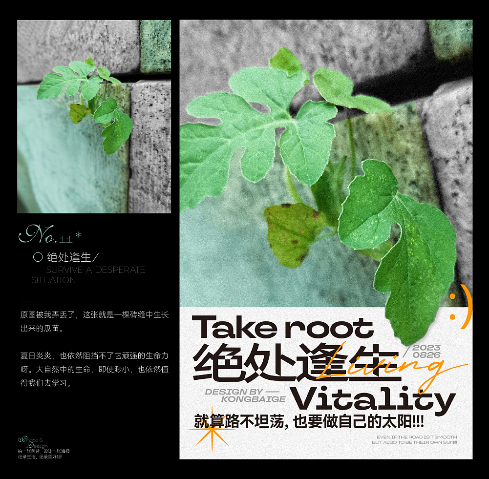 设计与生活 | 系列海报设计(三)