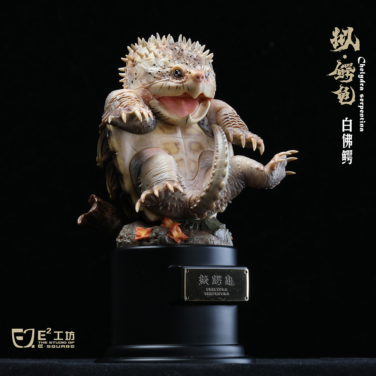 2023鳄龟系列--拟鳄龟