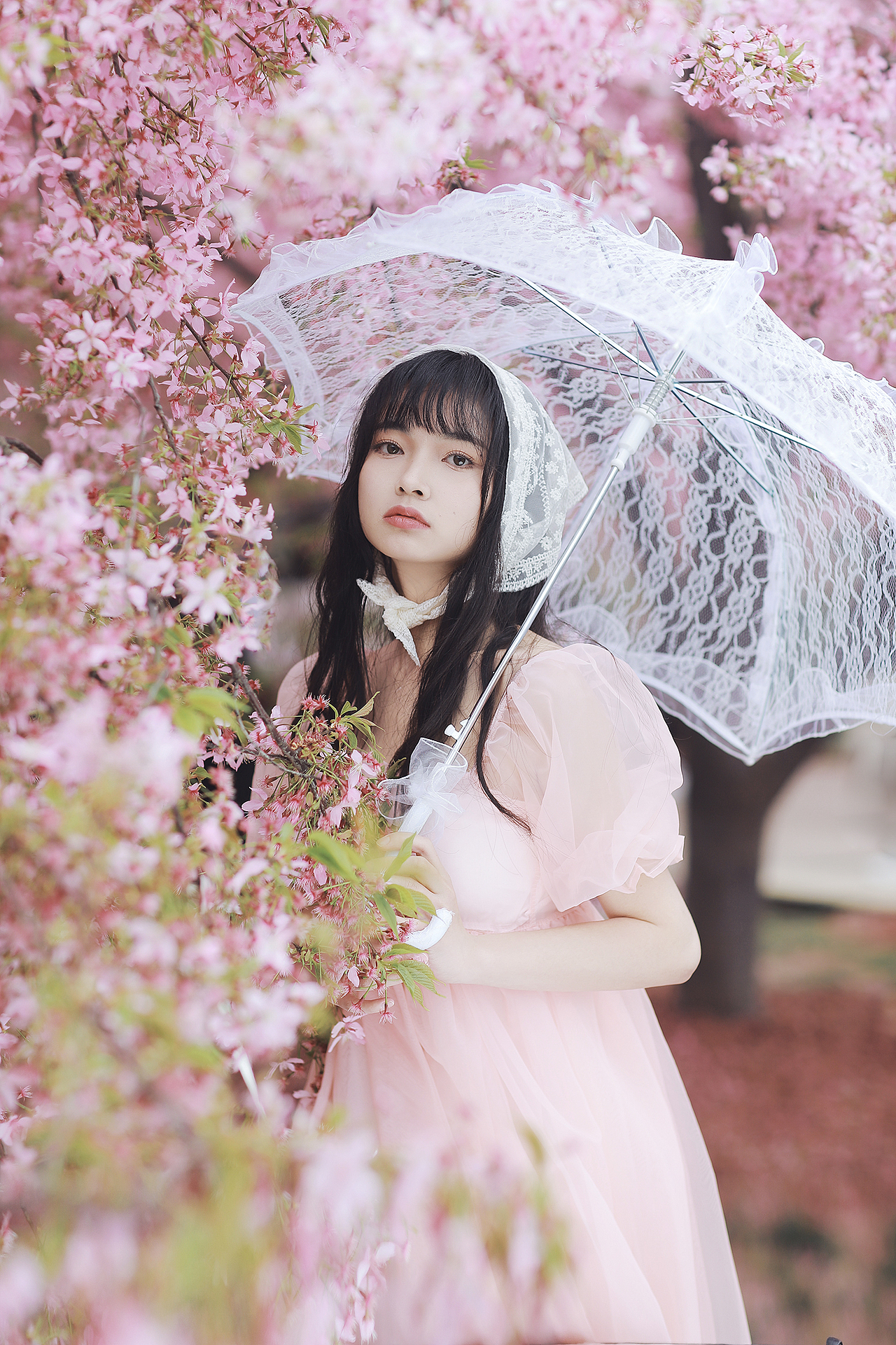 日常粉色少女樱花写真