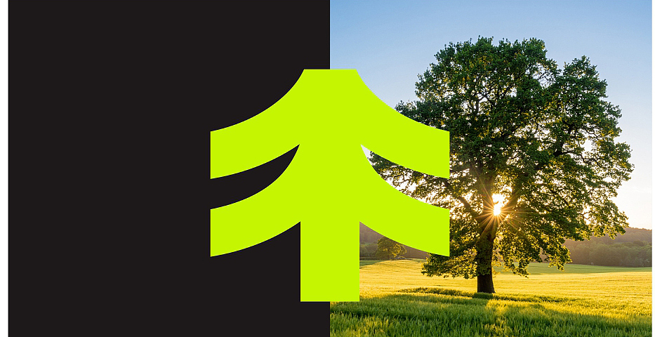 视维 × 棉养森 | 品牌全案设计案例