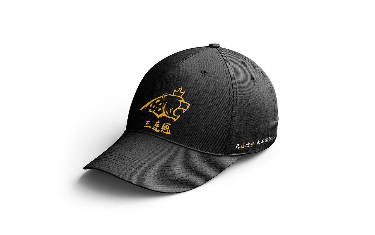 遼寧男籃三連冠T恤設(shè)計(jì)（圖ZMzY5Mzc5MDk2） - 包裝 - 站酷設(shè)計(jì)師亂涂亂畫_原創(chuàng)素材 - 站酷ZCOOL