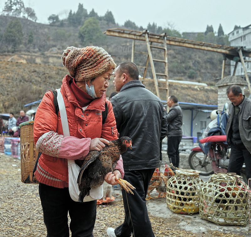 【贵州最大的露天集市——下司集】（图ZMzM2MTAxMDMy） - 人文/纪实摄影 - 站酷设计师子禾哥哥原创素材 - 站酷ZCOOL