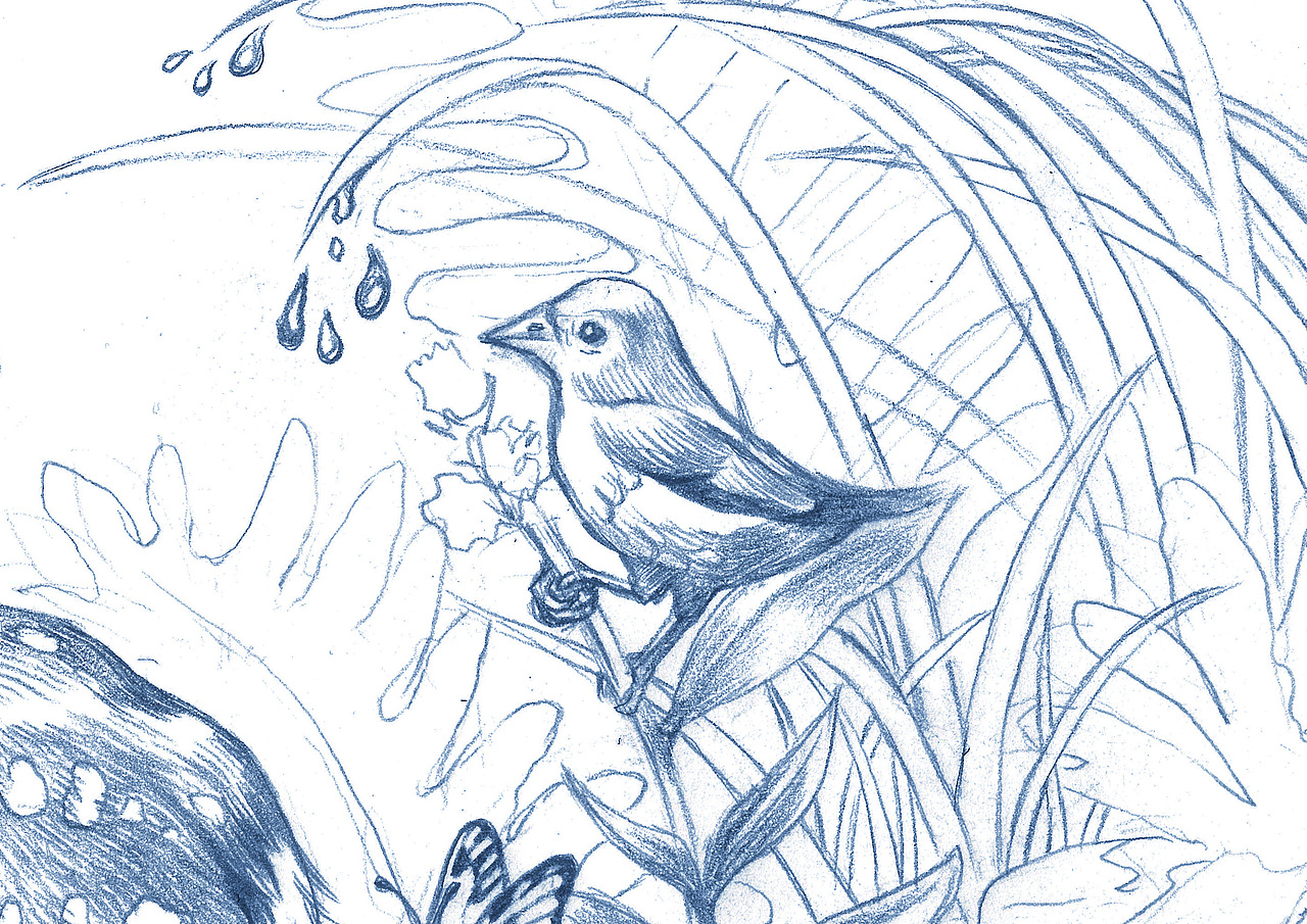 《孕育-鹿妈妈》素描及设计应用