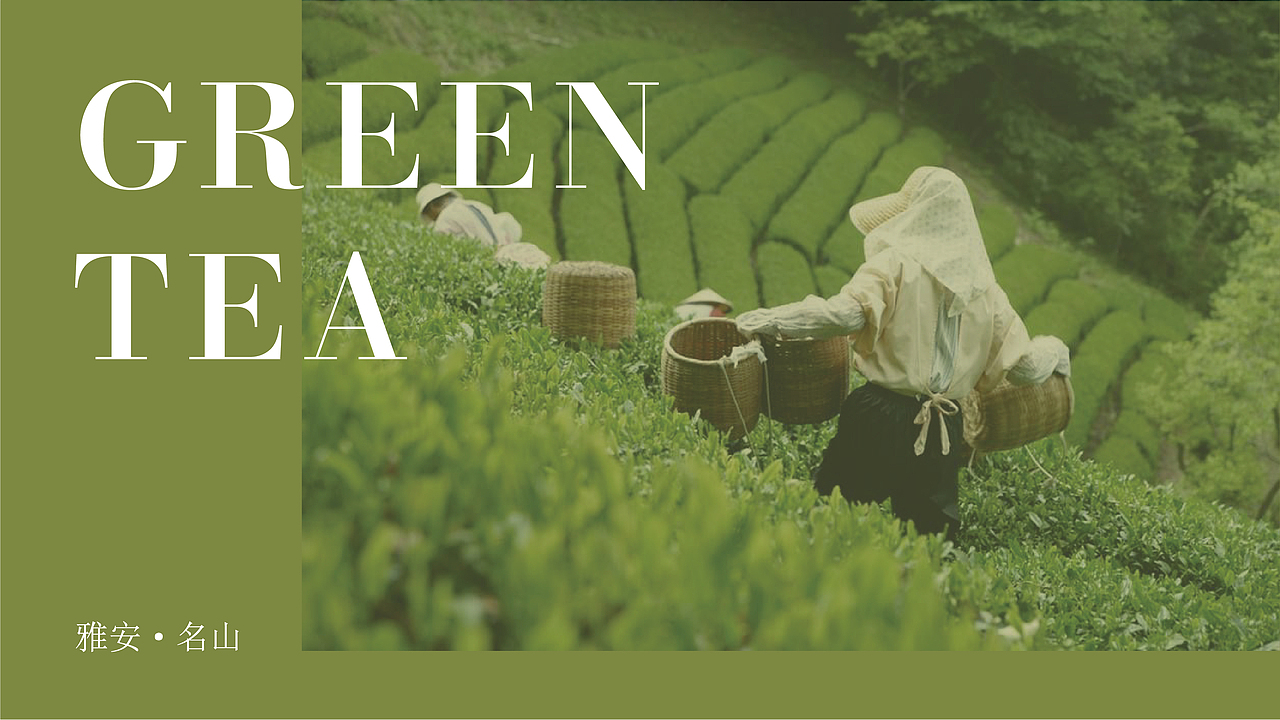 《蒙雨甘露》插画品牌设计