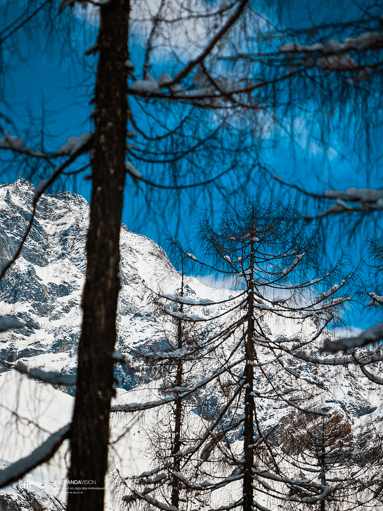 旅行 | 有机会一定要去看一次冬天的四姑娘山