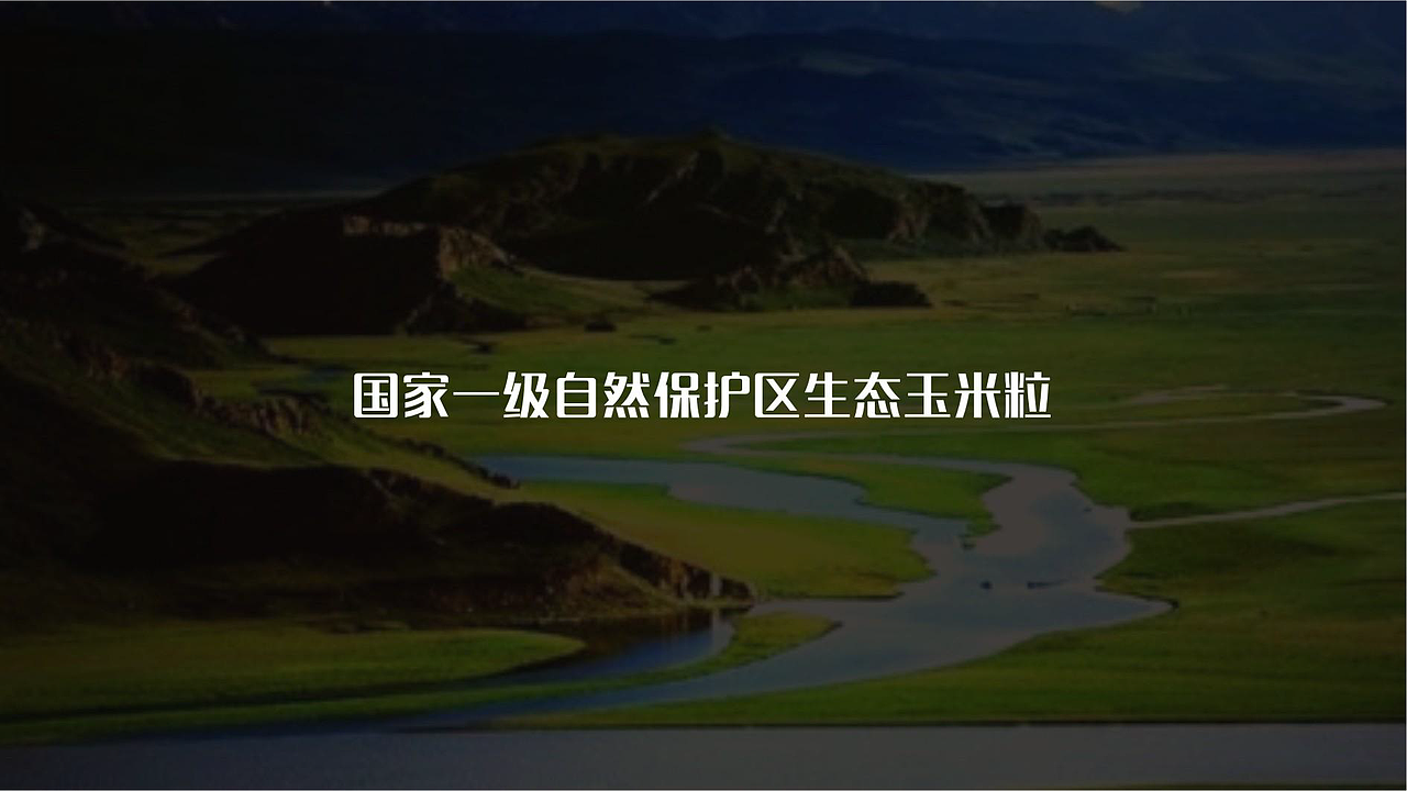 糯氏玉米方案一