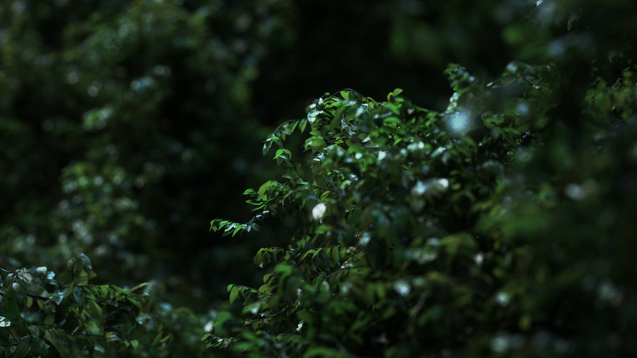 三维渲染练习合集