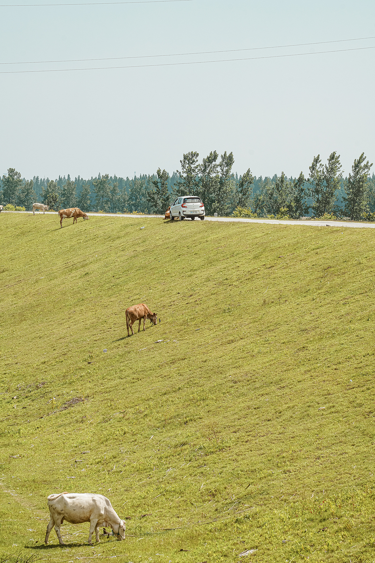 在田间,感受风的气息