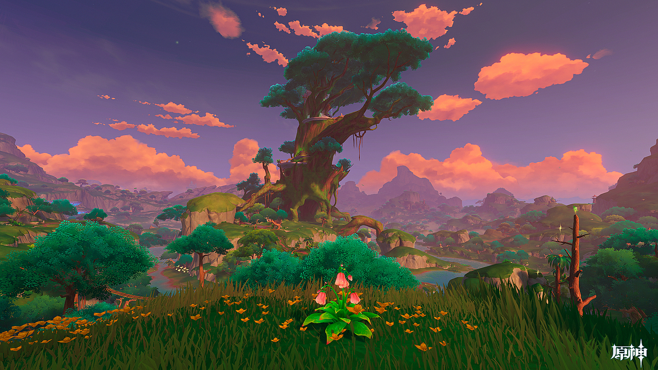 游戏摄影 - 原神须弥地图