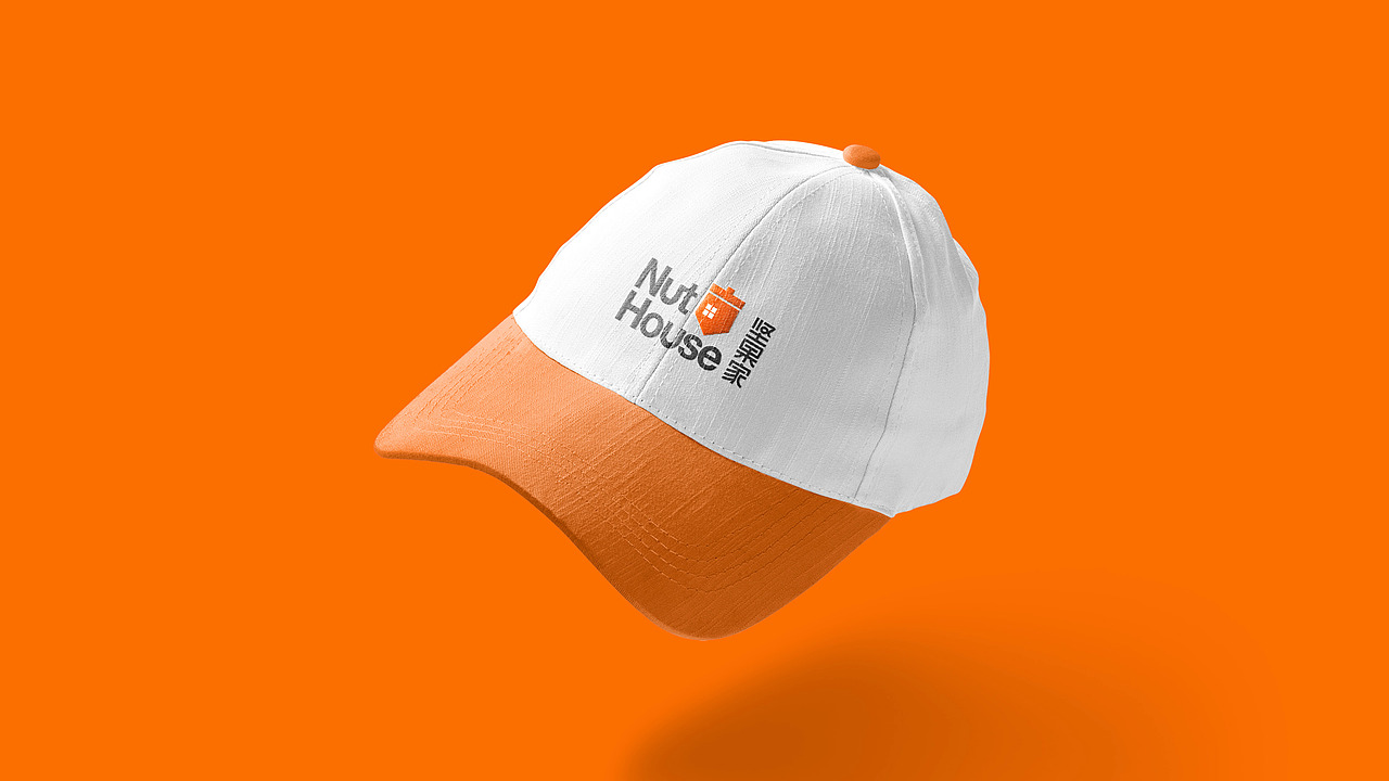 坚果家（线上网课）品牌形象设计（图ZMjk3NTk2NDI4） - 品牌 - 站酷设计师思锐设计lianlian原创素材 - 站酷ZCOOL