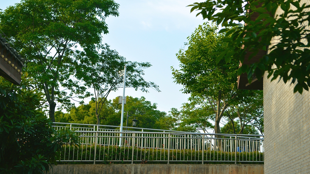 植物和光影（图ZMzY4NjQxMzcy） - 风光摄影 - 站酷设计师天啦噜sqd原创素材 - 站酷ZCOOL