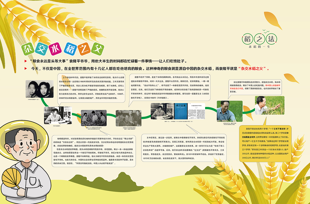 袁隆平水稻宣传展板