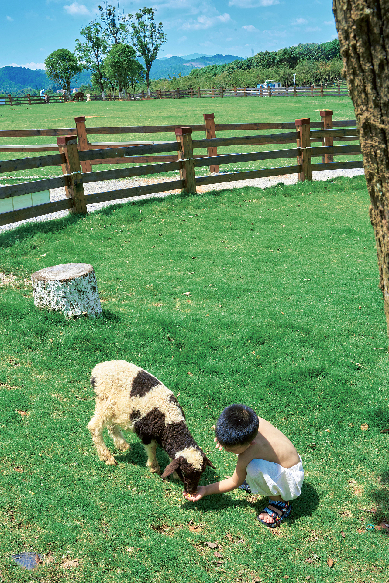 嘿～夏天！（图ZMzEwNTc0ODM2） - 人像摄影 - 站酷设计师sicily田心原创素材 - 站酷ZCOOL