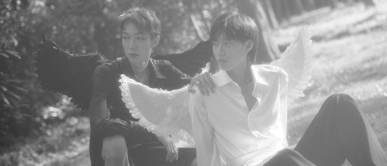 黑白-天鹅双男主