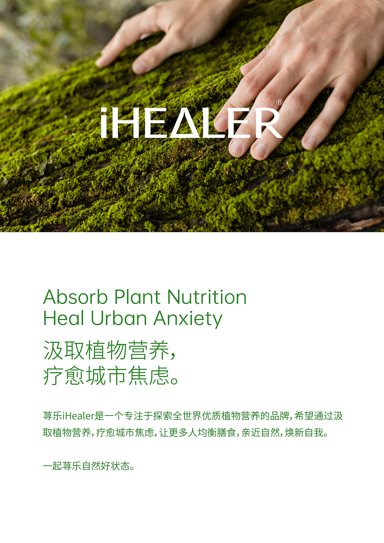 iHealer品牌视觉与包装系统
