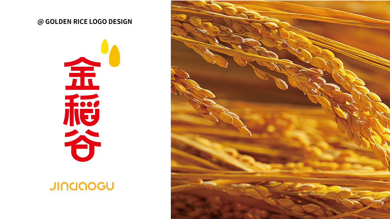 JINDAOGU-‘金稻谷’品牌升级