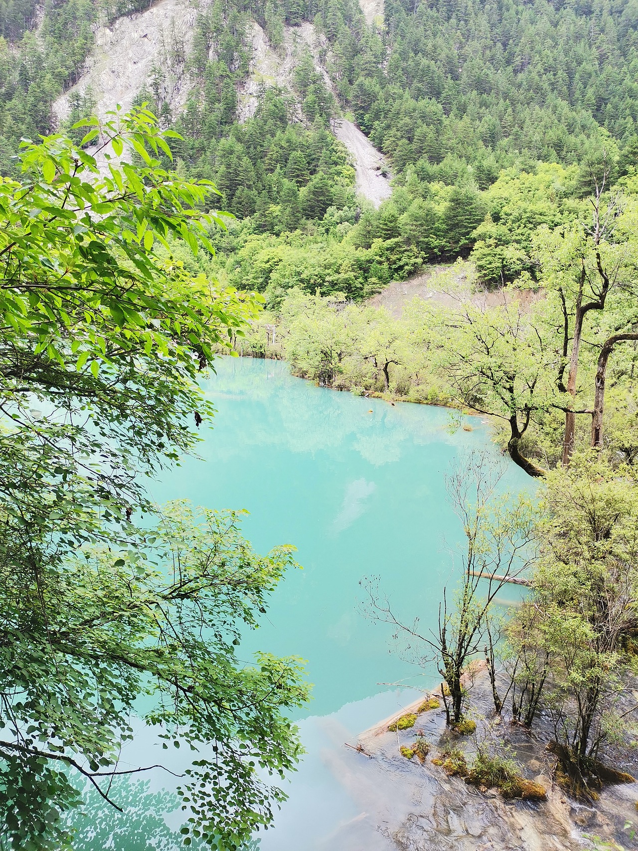 五彩缤纷九寨沟(下)