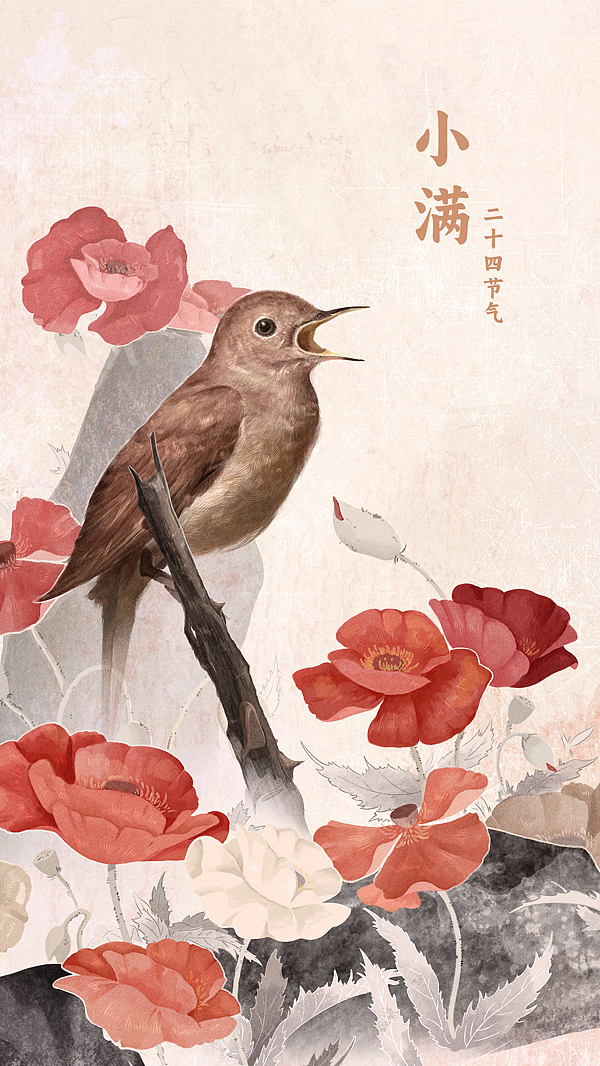 2023年24节气花鸟图（图ZMzYxMDMxMDUy） - 商业插画 - 站酷设计师森特特原创素材 - 站酷ZCOOL