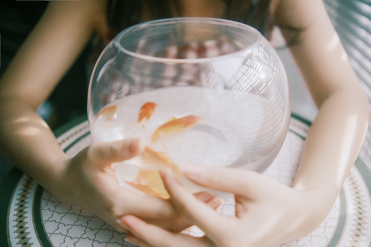 鱼缸里的你，在过着怎样璀璨的人生（图ZMzEyNzY3NjYw） - 人像摄影 - 站酷设计师玩摄影的安生原创素材 - 站酷ZCOOL